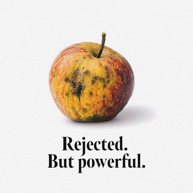 Pomme_recyclee_53cf9f4d-e594-487b-a785-fa55c21af615.png
